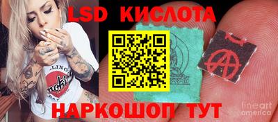 спайс Будённовск