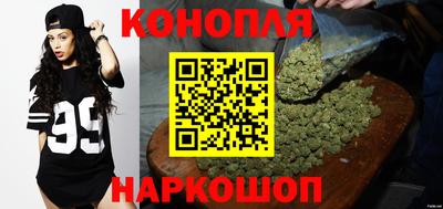 гашик Бузулук