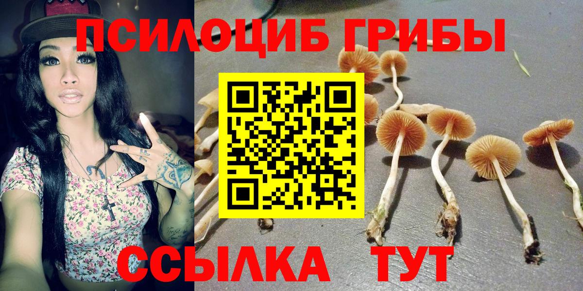 Галлюциногенные грибы Cubensis Шадринск