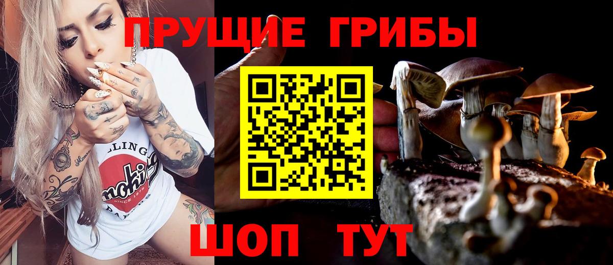 Шадринск  купить  цена  Вход с VPN  Галлюциногенные грибы Cubensis 